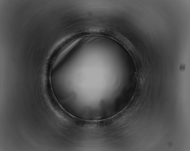 X0000101170728200807181423