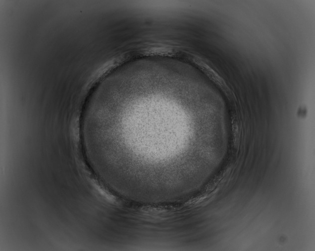 X0000101170729200807181423