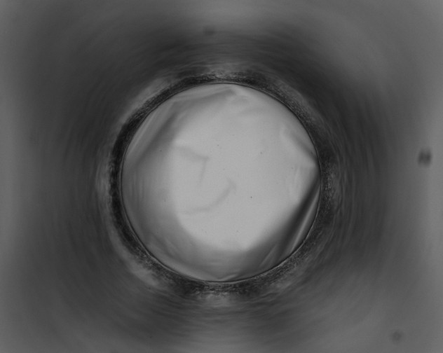 X0000101170730200807181423