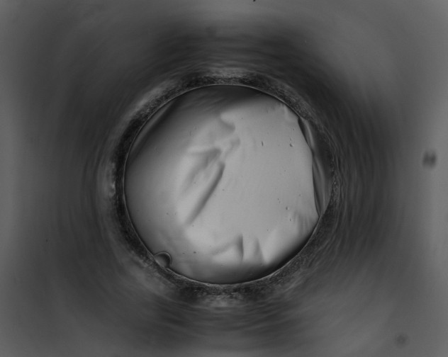 X0000101170731200807181423