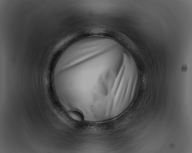 X0000101170732200807181423