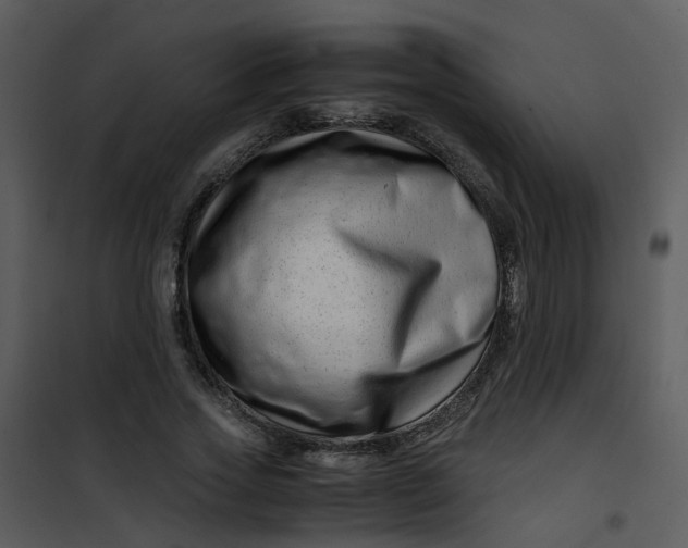 X0000101170733200807181423