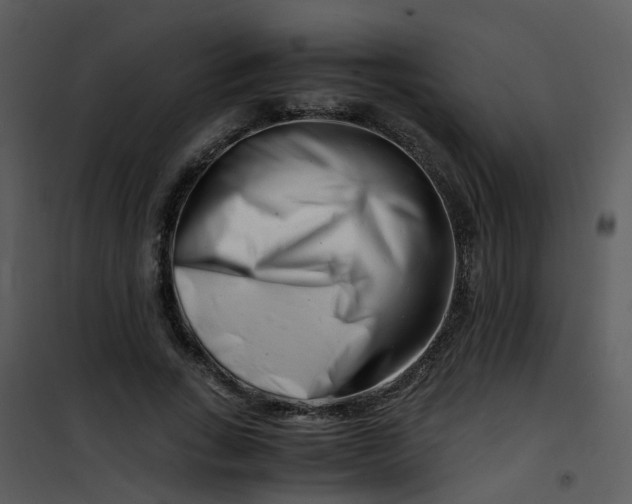 X0000101170735200807181423
