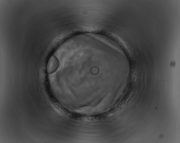 X0000101170736200807181423