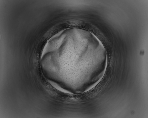 X0000101170737200807181423