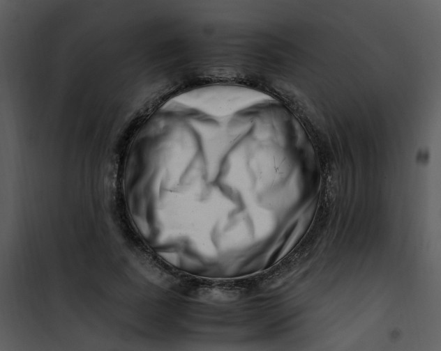 X0000101170739200807181423