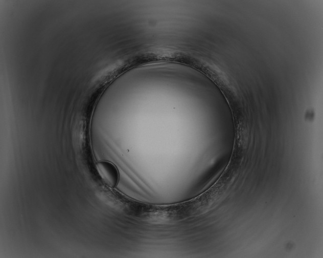 X0000101170740200807181423