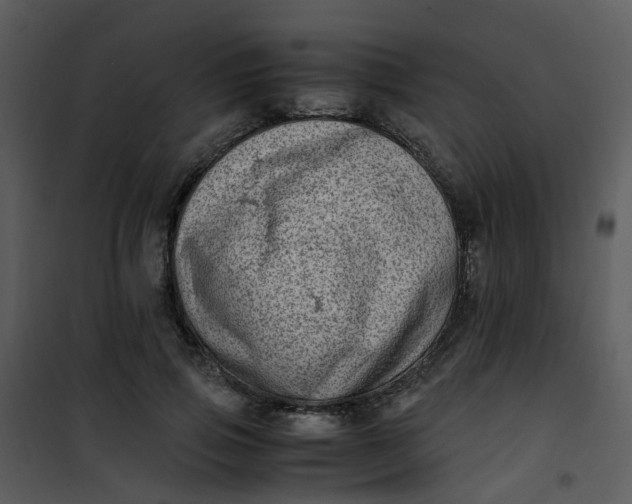 X0000101170741200807181423