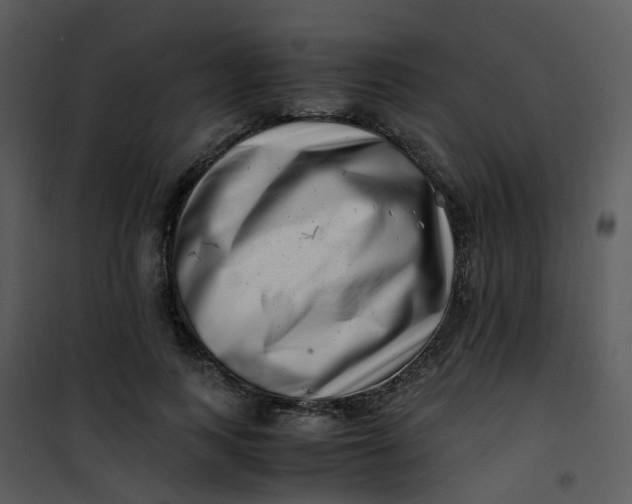 X0000101170743200807181423
