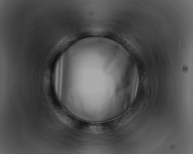 X0000101170744200807181423