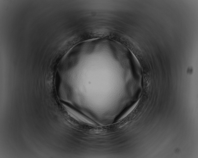 X0000101170745200807181423