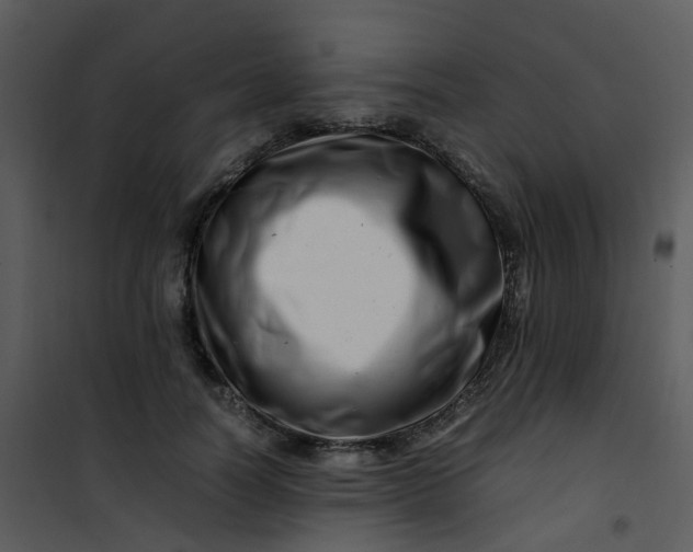 X0000101170746200807181423