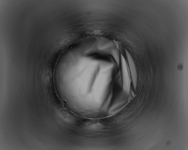 X0000101170747200807181423