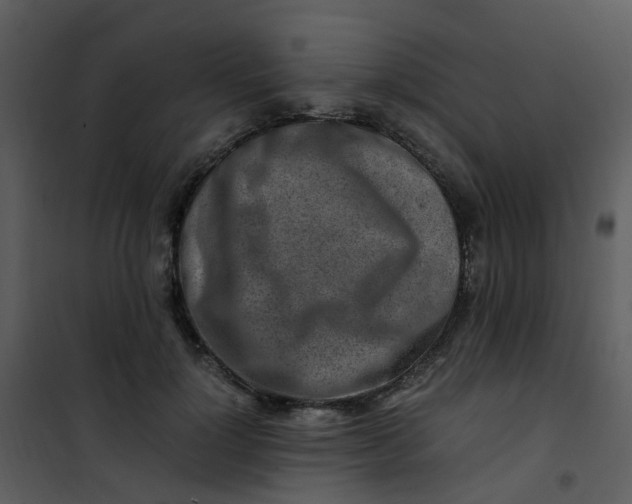 X0000101170748200807181423