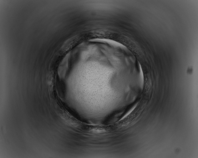 X0000101170749200807181423