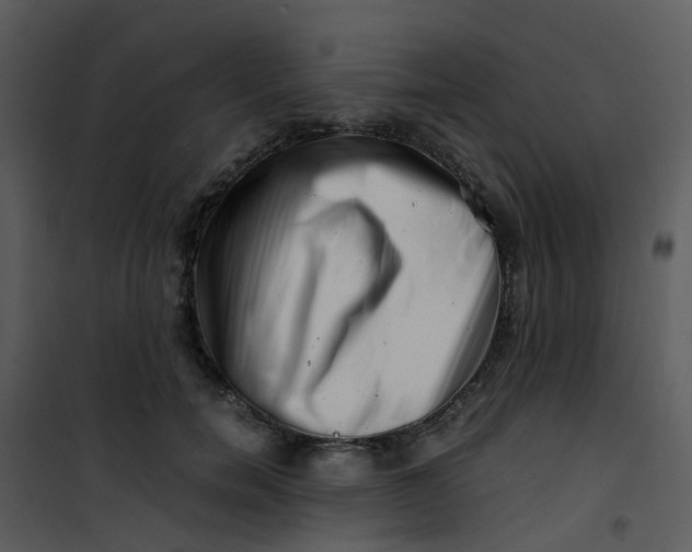 X0000101170750200807181423
