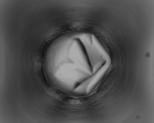 X0000101170751200807181423