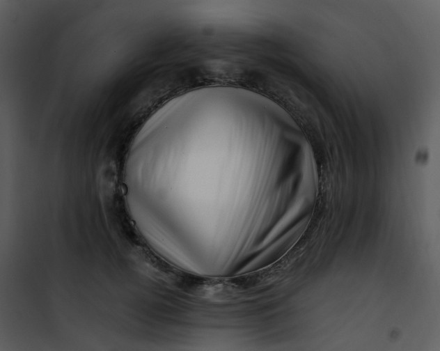 X0000101170752200807181423