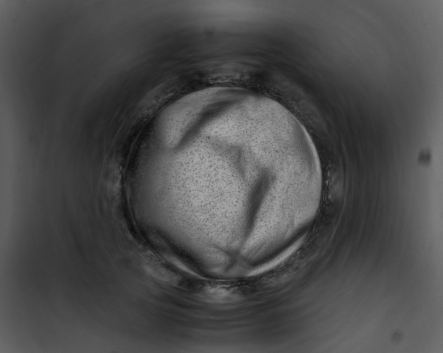 X0000101170753200807181423