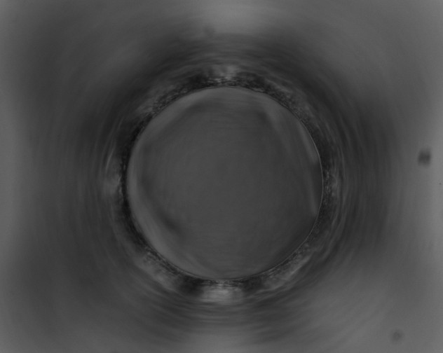 X0000101170754200807181423