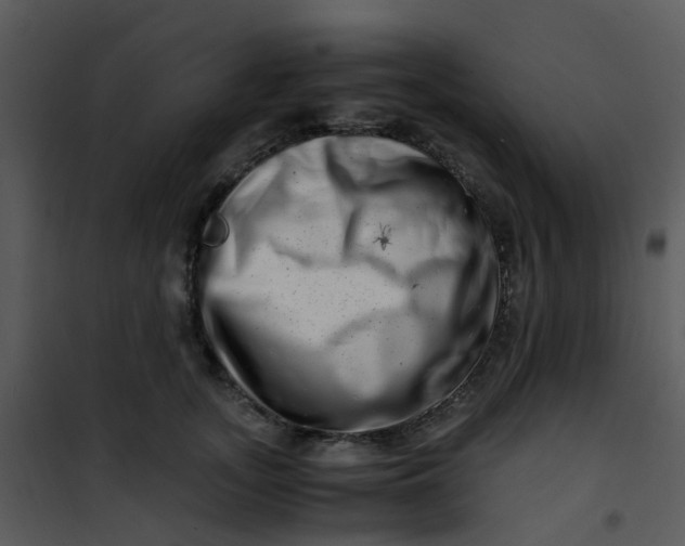 X0000101170755200807181423