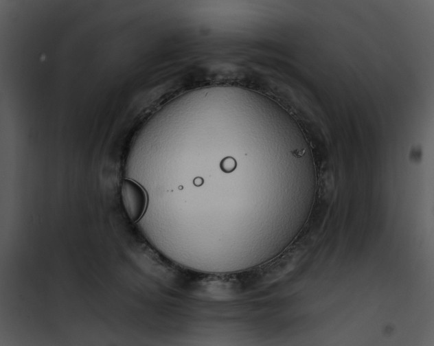 X0000101170756200807181423
