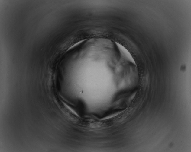 X0000101170757200807181423