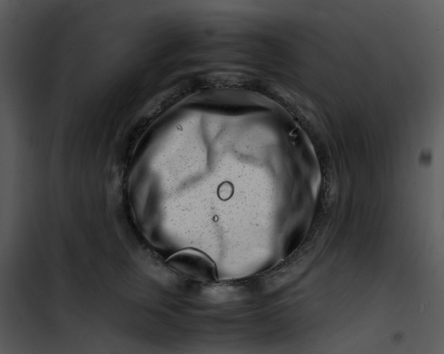 X0000101170759200807181423