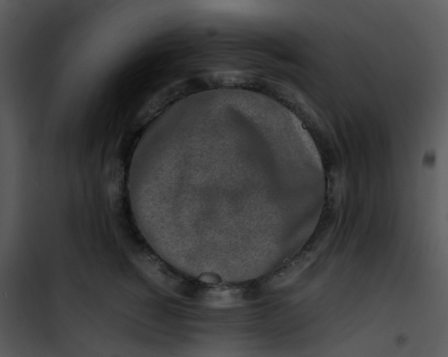 X0000101170760200807181423