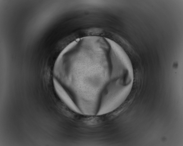 X0000101170761200807181423