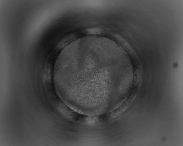 X0000101170762200807181423