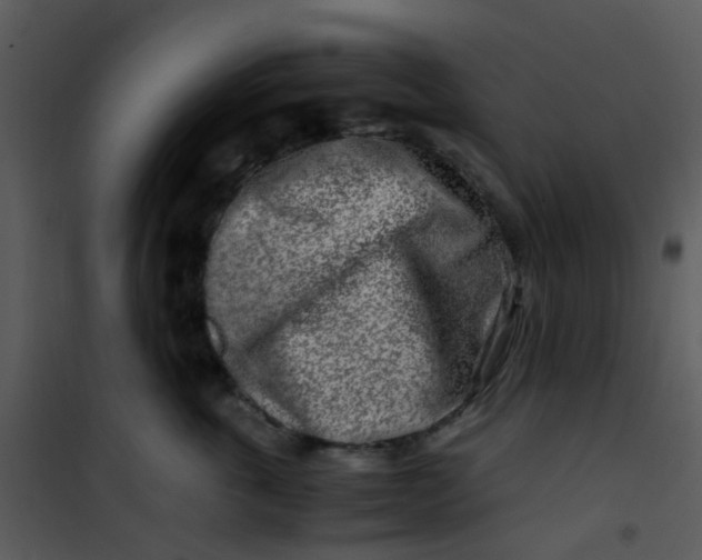 X0000101170763200807181423