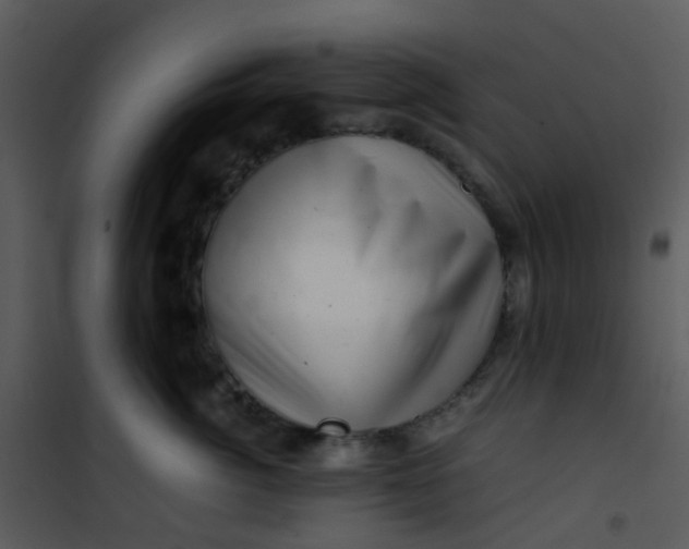 X0000101170764200807181423