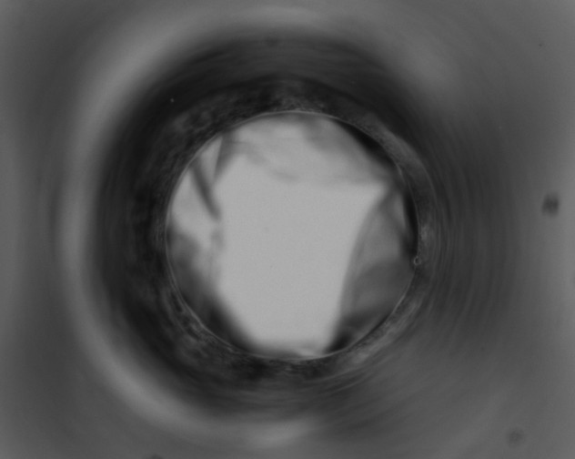 X0000101170765200807181423