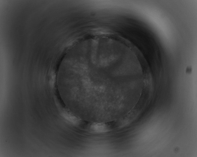 X0000101170767200807181423