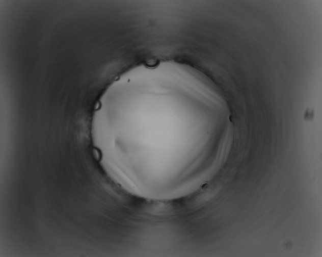 X0000101170768200807181423