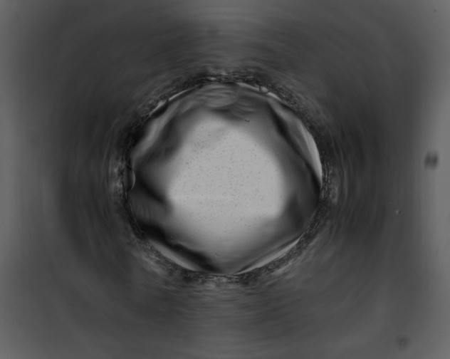 X0000101170770200807181422