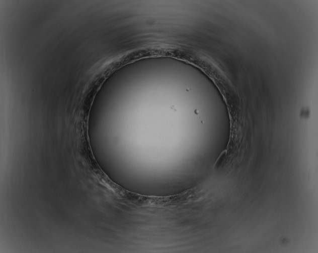 X0000101170773200807181422