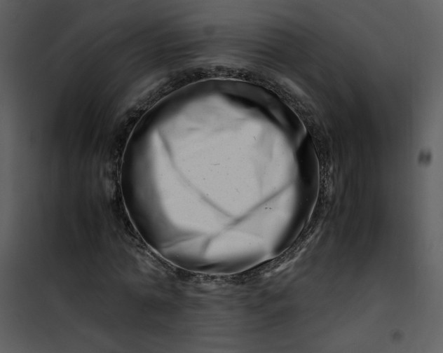 X0000101170774200807181422