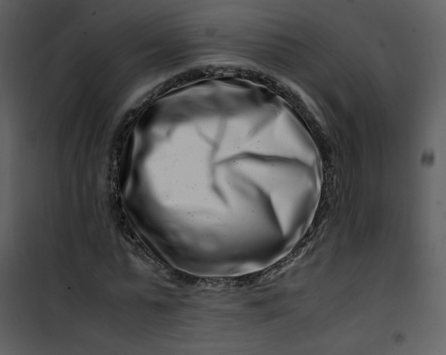 X0000101170775200807181422