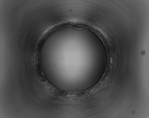 X0000101170776200807181422