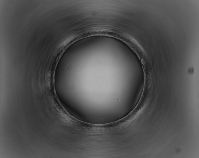 X0000101170777200807181422