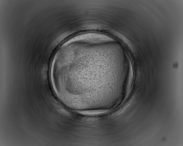 X0000101170778200807181422
