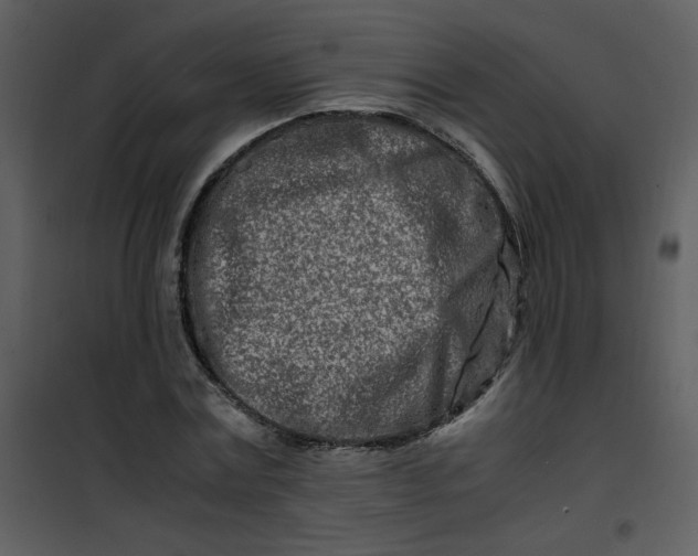 X0000101170779200807181422