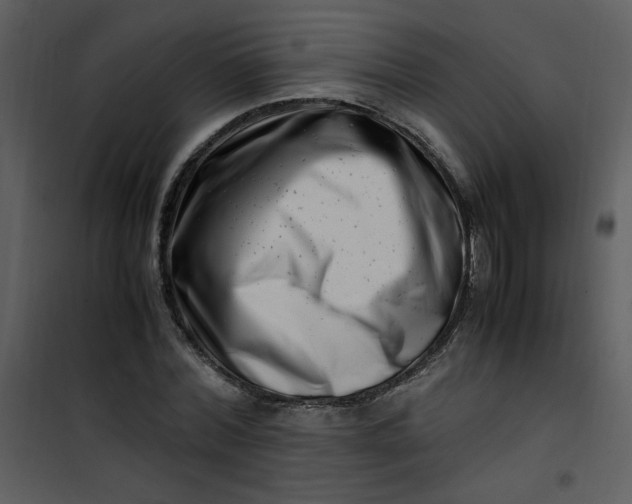 X0000101170780200807181422