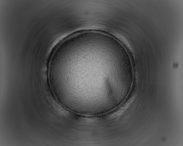 X0000101170781200807181422