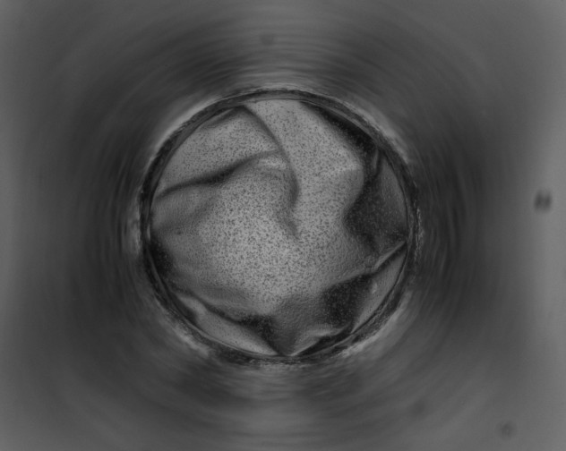 X0000101170782200807181422