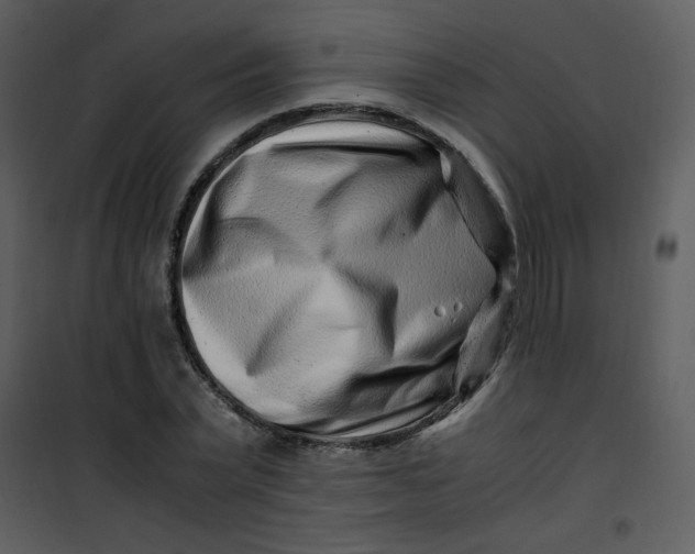 X0000101170783200807181422