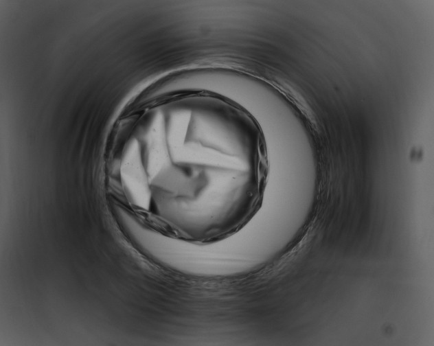 X0000101170784200807181422