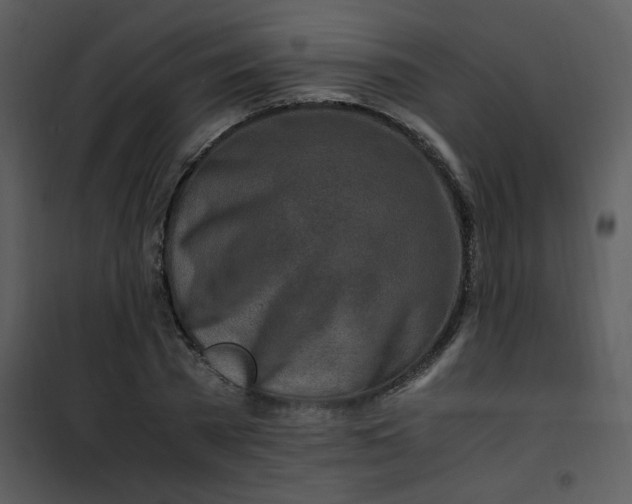 X0000101170785200807181422